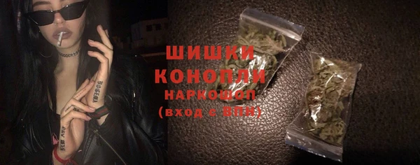 дмт Каменка